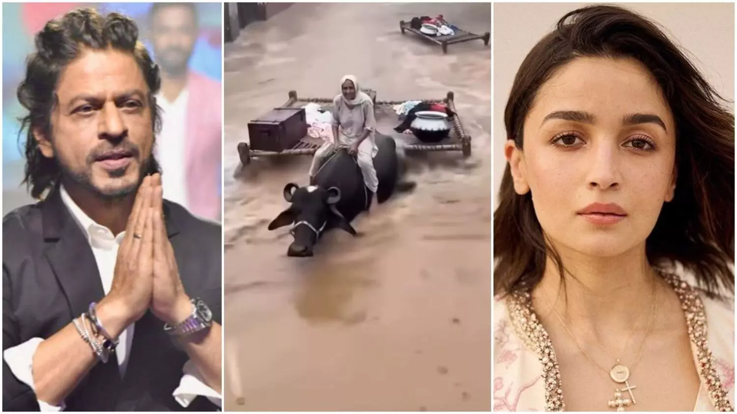 पंजाब में बाढ़ का कहर: संकट में साथ आए बॉलीवुड के सितारे, शाहरुख खान ने बढ़ाया मदद का हाथ