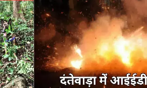 Dantewada IED Blast : प्रेशर आईईडी की चपेट में आने से दो जवान घायल, हालत गंभीर