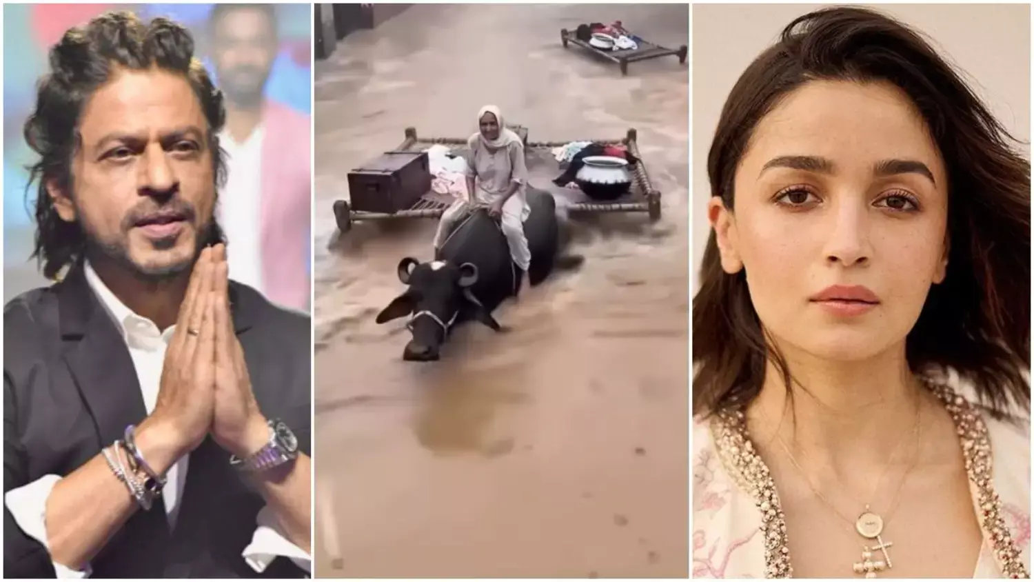 पंजाब में बाढ़ का कहर: संकट में साथ आए बॉलीवुड के सितारे, शाहरुख खान ने बढ़ाया मदद का हाथ