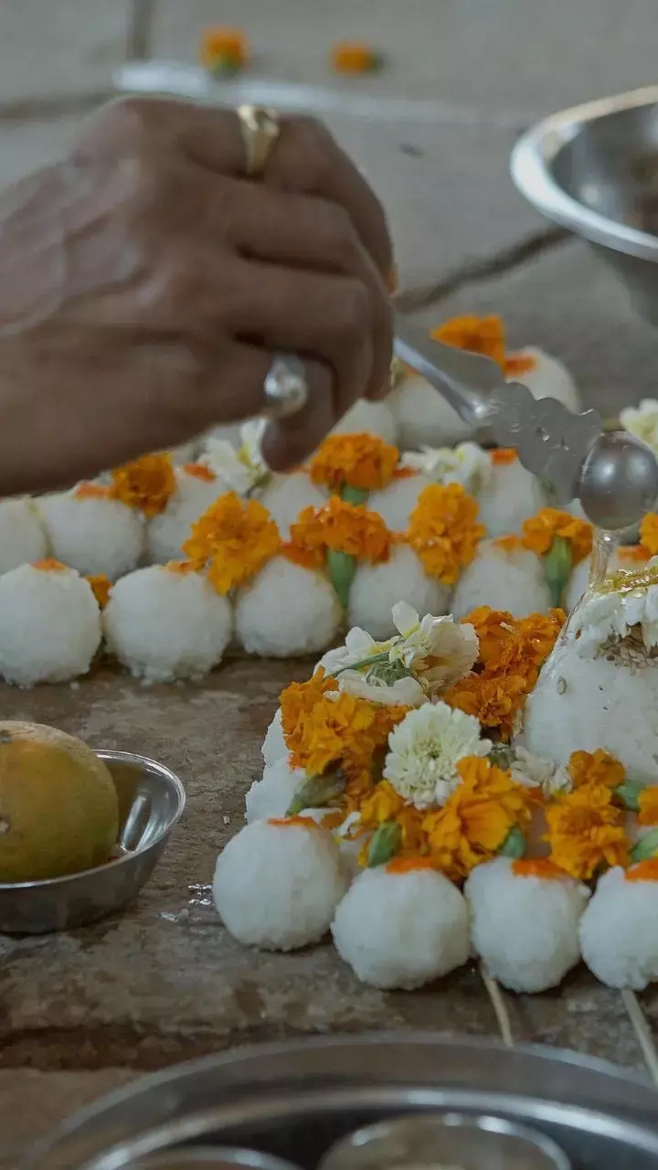 Pitru Paksha Ke Upay 2025: पितृ पक्ष में इन पेड़-पौधों के पास जलाएं दीपक, नकारात्मक एनर्जी होगी दूर