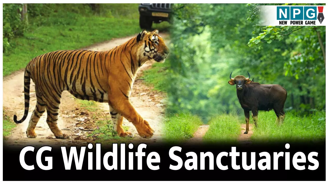 Chhattisgarh Wildlife Sanctuaries: छत्तीसगढ़ के पूरे 11 वन्यजीव अभयारण्य की जानकारी; एक क्लिक में पढ़िए पूरी रिपोर्ट
