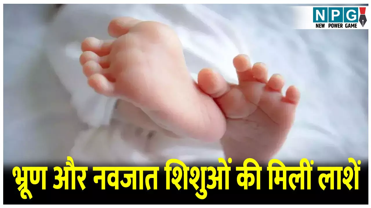 CG Crime News: छत्तीसगढ़ में तीन अलग-अलग घटनाओं में भ्रूण और नवजात शिशुओं की मिलीं लाशें, मचा हड़कंप