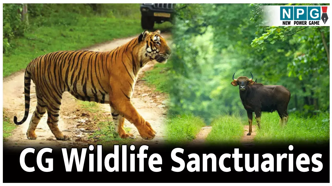 Chhattisgarh Wildlife Sanctuaries: छत्तीसगढ़ के पूरे 11 वन्यजीव अभयारण्य की जानकारी; एक क्लिक में पढ़िए पूरी रिपोर्ट