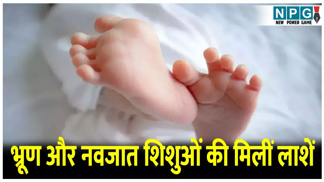 CG Crime News: छत्तीसगढ़ में तीन अलग-अलग घटनाओं में भ्रूण और नवजात शिशुओं की मिलीं लाशें, मचा हड़कंप