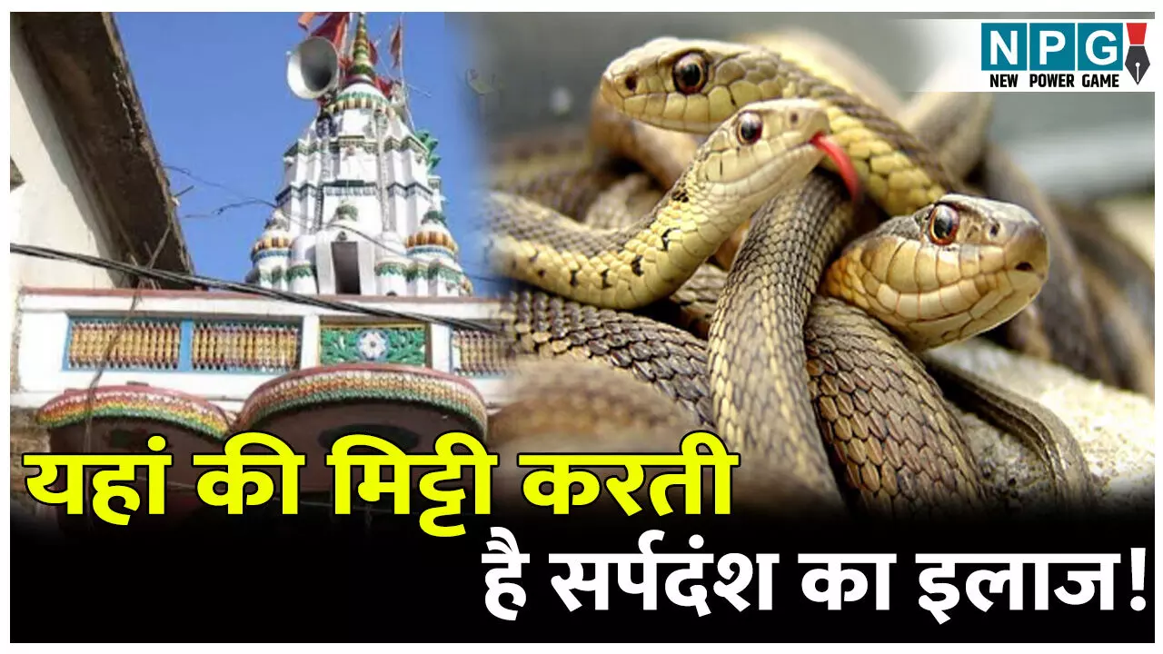 Kaitha Biratiya Baba Mandir Ka Itihas: यहां की मिट्टी करती है सर्पदंश का इलाज, जानिए बिरतिया बाबा मंदिर, कैथा से जुड़ी अनोखी मान्यता
