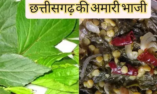 Amari Bhaaji : इम्युनिटी का पावर हाउस है छत्तीसगढ़ का यह भाजी, फल दिखता है भिंडी जैसा पर होता है खट्टा