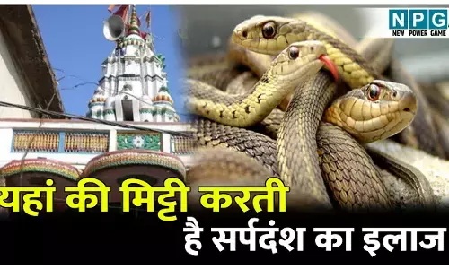 Kaitha Biratiya Baba Mandir Ka Itihas: यहां की मिट्टी करती है सर्पदंश का इलाज, जानिए बिरतिया बाबा मंदिर, कैथा से जुड़ी अनोखी मान्यता