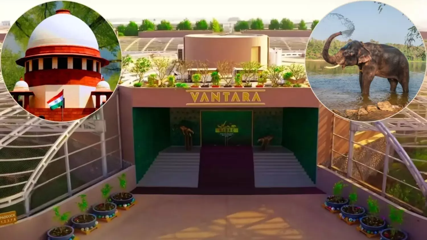 जैन मठ से हथिनी की शिफ्टिंग पर विवाद: SC ने वनतारा को दी क्लीन चिट, कहा- जानवरों की खरीद-बिक्री में कोई गड़बड़ी नहीं