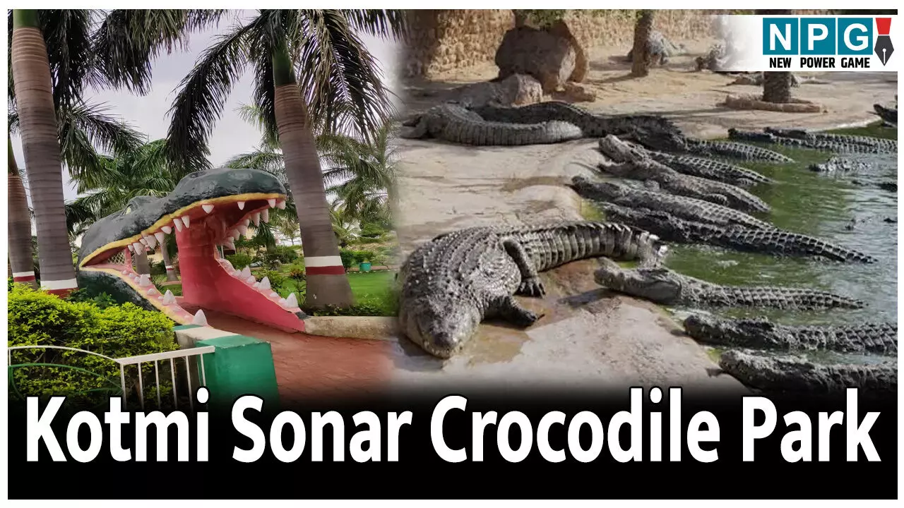 Kotmi Sonar Crocodile Park: छत्तीसगढ़ का एकमात्र सक्रिय मगरमच्छ संरक्षण केंद्र, जानिए कोटमी सोनार मगरमच्छ पार्क के बारे में