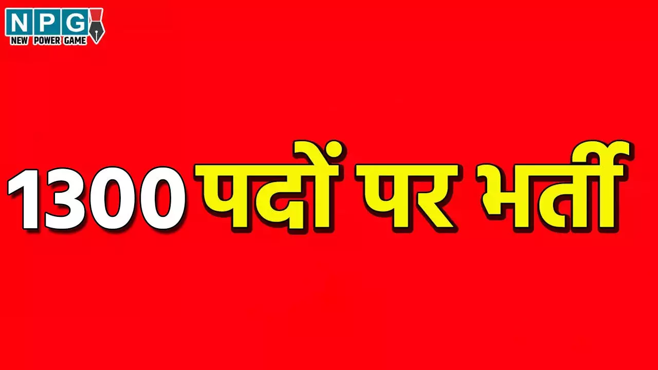 Bijapur Jobs: 1300 पदों पर होगी भर्ती, इस दिन लगेगा प्लेसमेंट कैंप, जानिए...