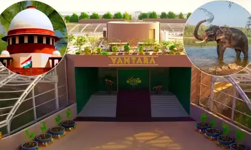 जैन मठ से हथिनी की शिफ्टिंग पर विवाद: SC ने वनतारा को दी क्लीन चिट, कहा- जानवरों की खरीद-बिक्री में कोई गड़बड़ी नहीं