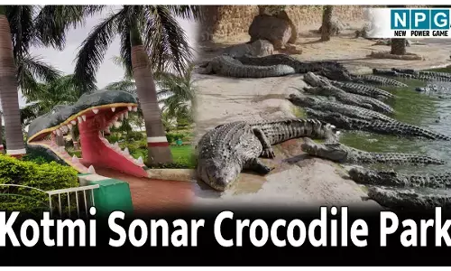 Kotmi Sonar Crocodile Park: छत्तीसगढ़ का एकमात्र सक्रिय मगरमच्छ संरक्षण केंद्र, जानिए कोटमी सोनार मगरमच्छ पार्क के बारे में