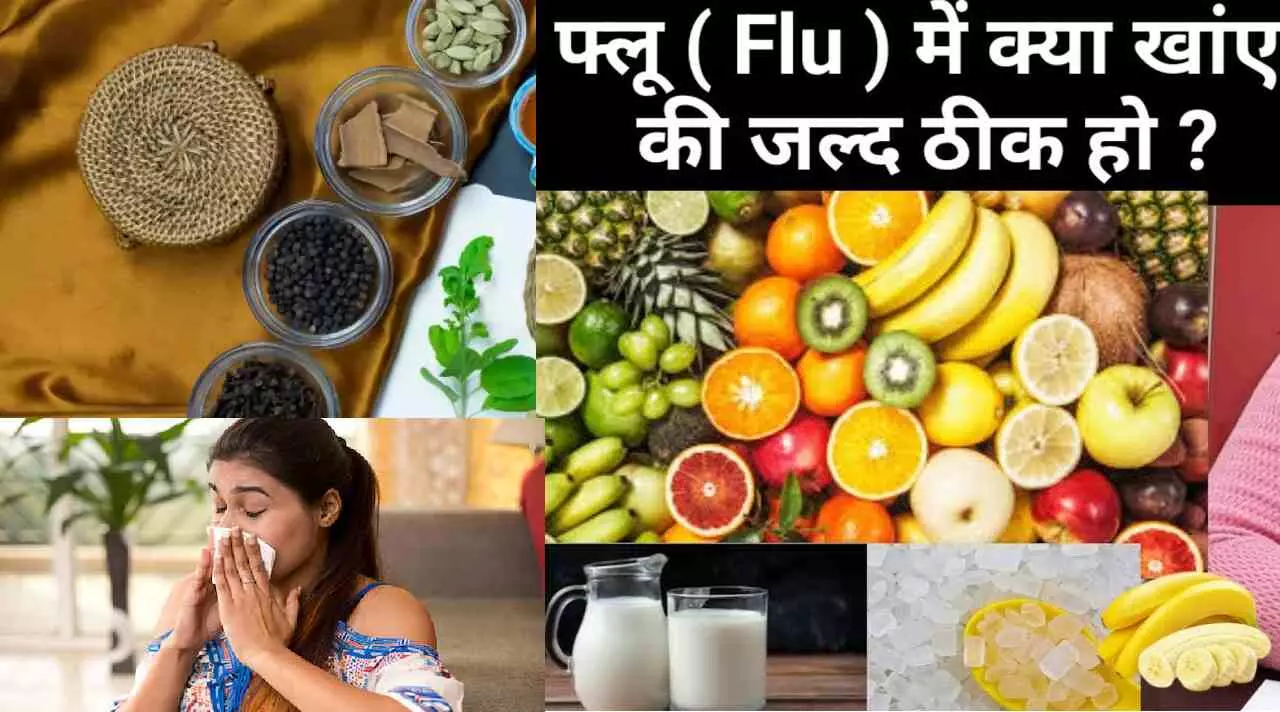 What heals flu faster : लाख जतन के बाद भी हो गए बीमार ... तो फिर ये खाएं और ये नहीं, सर्दी-खांसी, बुखार हो जायेगा छूमंतर