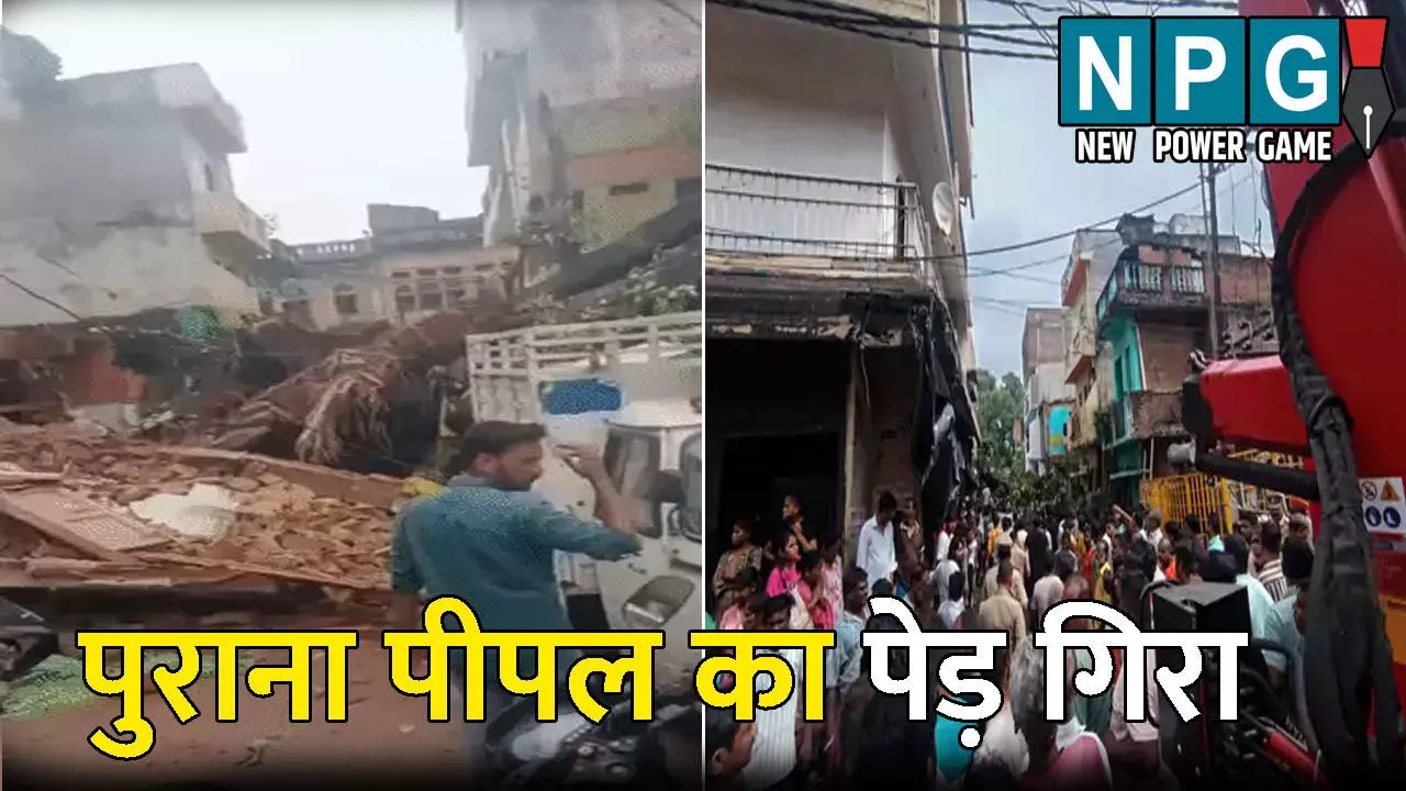 Lucknow News: 150 साल पुराना पीपल का पेड़ गिरा: चपेट में आने से एक की मौत, दो घायल, मौके पर पहुंचे डीप्टी सीएम, महापौर और सपा विधायक
