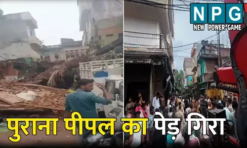 Lucknow News: 150 साल पुराना पीपल का पेड़ गिरा: चपेट में आने से एक की मौत, दो घायल, मौके पर पहुंचे डीप्टी सीएम, महापौर और सपा विधायक