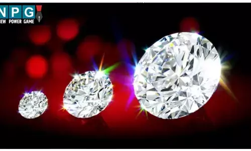 पन्ना में फिर चमकी किस्मत! इस महिला मजदूर को मिले 8 बेशकीमती हीरे, कीमत जानकर चौक जाएंगे आप..