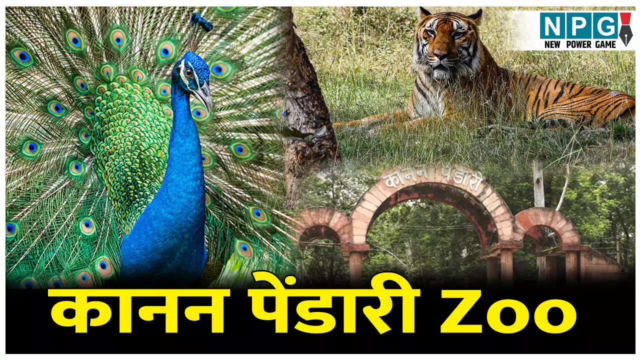 Kanan Pendari Zoo: कानन पेंडारी Zoo: प्राकृतिक सुंदरता और वन्यजीवों का अनोखा संगम Kanan Pendari Zoo: कानन पेंडारी Zoo: प्राकृतिक सुंदरता और वन्यजीवों का अनोखा संगम