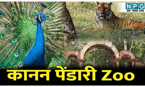 Kanan Pendari Zoo: कानन पेंडारी Zoo: प्राकृतिक सुंदरता और वन्यजीवों का अनोखा संगम