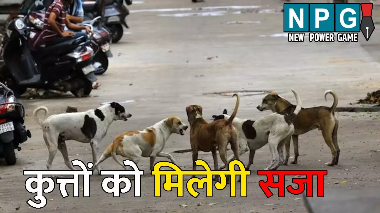 UP News: कुत्तों को मिलेगी सजा! पहली बार काटा तो 10 दिन..दोबारा काटा तो होगी उम्रकैद, पढ़िए पूरा मामला
