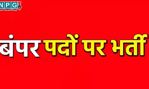 Job Alert: जाॅब पाने का सुनहरा अवसर, दो दिसंबर को इस जिले में होगा प्लेसमेंट कैंप, करें आवेदन...