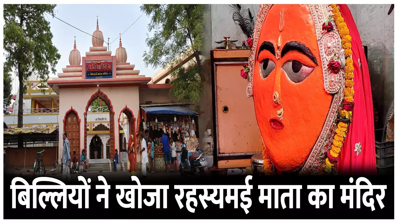 Bilai Mata Mandir Ka Itihas: बिल्लियों ने खोजा रहस्यमई माता का मंदिर, जानिए शक्तिपीठ बिलाई माता मंदिर का इतिहास