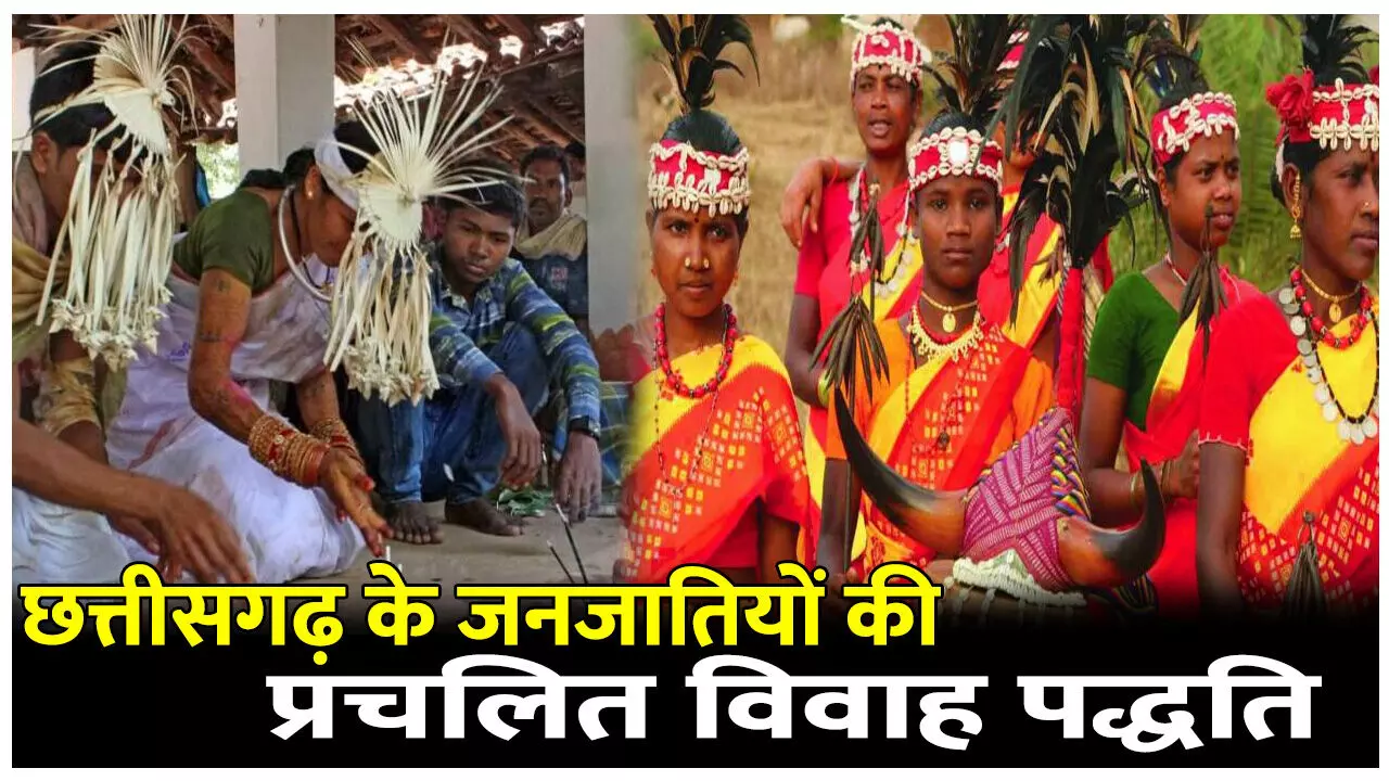 Bastar Ki Anokhi Vivah Parampara: छत्तीसगढ़ के जनजातियों की प्रचलित विवाह पद्धति, जानिए जनजातीय विवाह में घोटुल की भूमिका