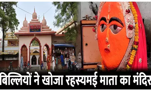Bilai Mata Mandir Ka Itihas: बिल्लियों ने खोजा रहस्यमई माता का मंदिर, जानिए शक्तिपीठ बिलाई माता मंदिर का इतिहास