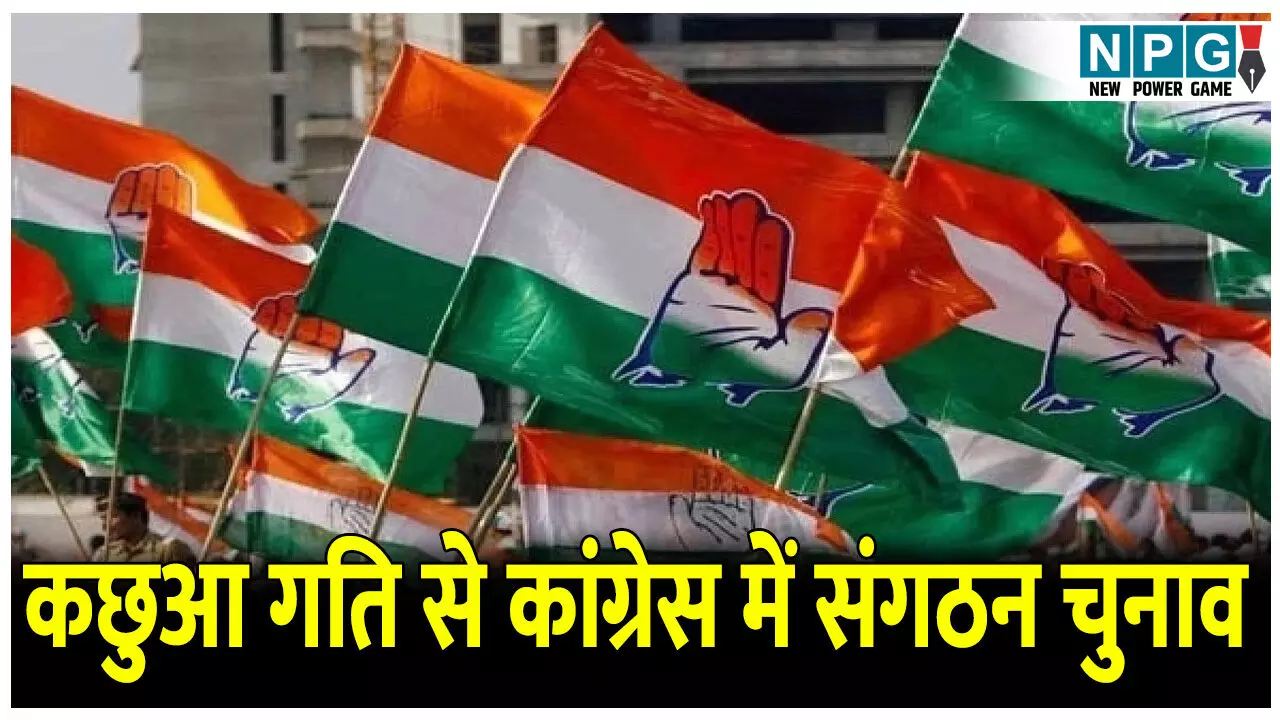 CG Politics News: कांग्रेस में संगठन चुनाव कछुआ गति से, दो माह पहले लौटे पर्यवेक्षकों की रिपोर्ट बस्ते में बंद