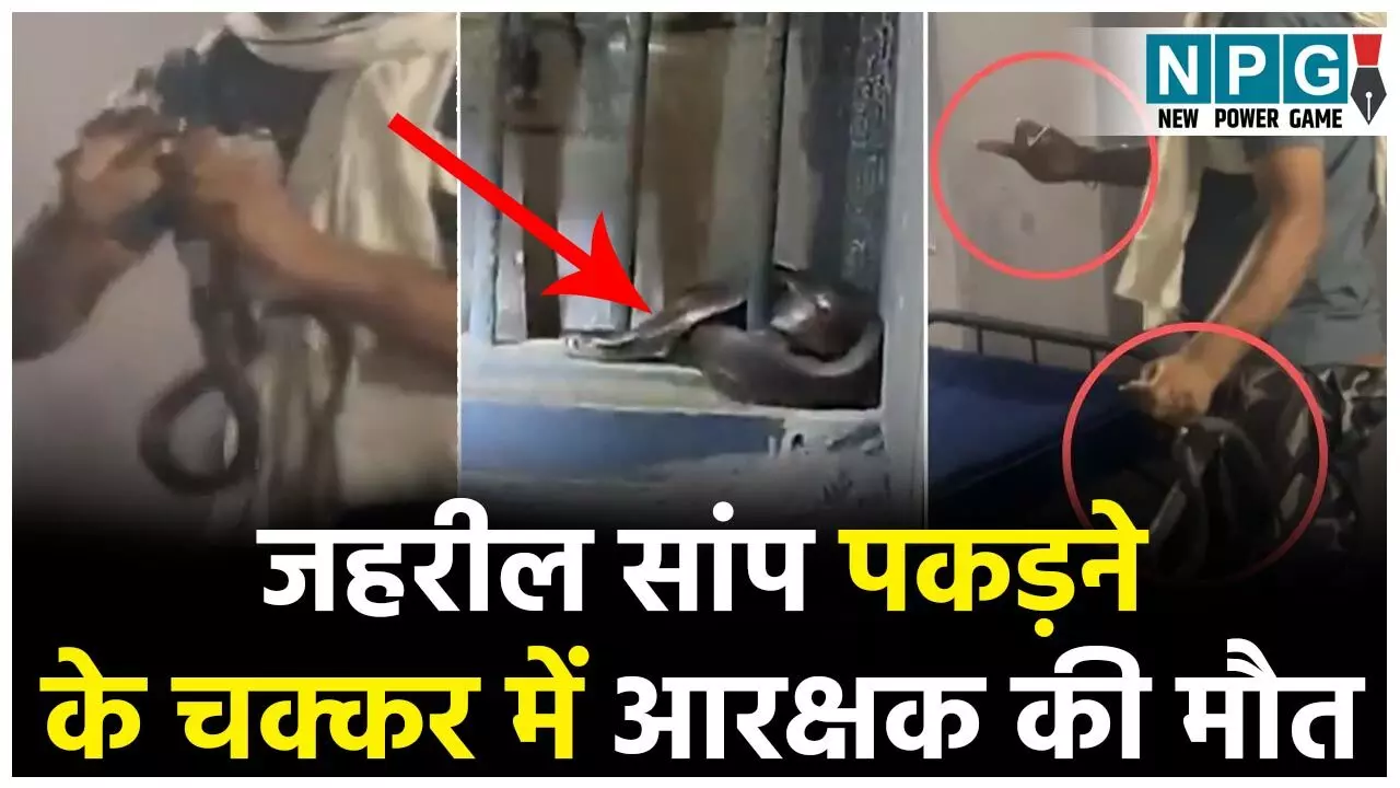 Indore Viral Video: जहरील कोबरा पकड़ने के चक्कर में आरक्षक की मौत, हैरान कर देने वाला वीडियो आया सामने...