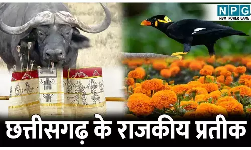 Chhattisgarh ke Pratikon ka Parichay: छत्तीसगढ़ के राजकीय चिन्ह से लेकर राजकीय गमछे तक, जानिए CG के सभी प्रतीकों का परिचय...सिर्फ एक क्लिक में