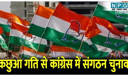 CG Politics News: कांग्रेस में संगठन चुनाव कछुआ गति से, दो माह पहले लौटे पर्यवेक्षकों की रिपोर्ट बस्ते में बंद