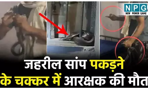 Indore Viral Video: जहरील कोबरा पकड़ने के चक्कर में आरक्षक की मौत, हैरान कर देने वाला वीडियो आया सामने...