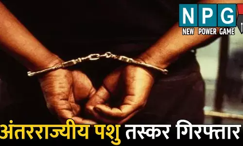 CG Crime News: बड़ी सफलता: पुलिस के हत्थे चढ़ा अंतरराज्यीय पशु तस्कर, लंबे समय से चल रहा था फरार, मामले में अब तक चार आरोपी गिरफ्तार