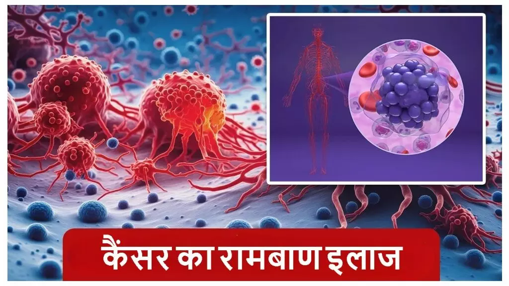 बड़ी खबर: AIIMS ने खोजा कैंसर का रामबाण इलाज; बच्चों के कैंसर में 75% रिकवरी, इलाज की बढ़ी उम्मीदें..