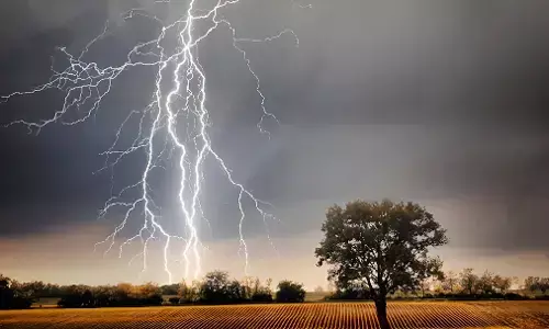 Raipur Weather Update: रायपुर में झमाझम बारिश, आकाशीय बिजली गिरने से 27 बकरियों की मौत, महासमुंद-गरियाबंद में ऑरेंज अलर्ट जरी, घर से निकलने से पहले जरूर देखें CG वेदर अपडेट