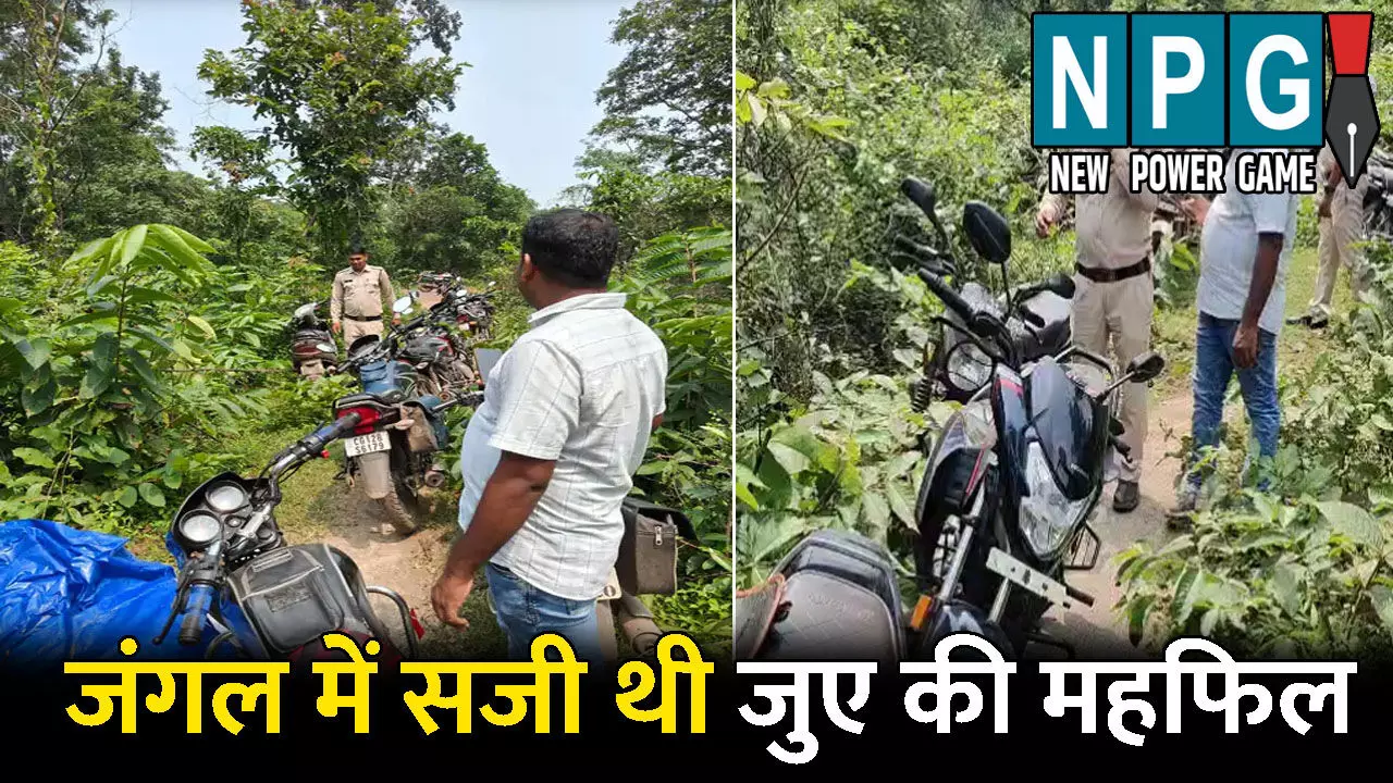 Janjgir Champa News: जंगल में सजी थी जुए की महफिल! पुलिस आई तो सभी हुए फरार, झाड़ियों से 17 बाइक बरामद