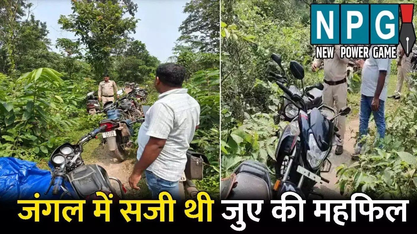 Janjgir Champa News: जंगल में सजी थी जुए की महफिल!... ... CG Top News Live: विकासशील बने 13वें मुख्य सचिव, कांग्रेस नेत्री के घर चोरी, पढ़ें छत्तीसगढ़ की Top News Live सबसे तेज़