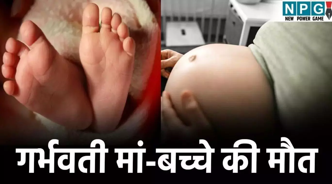 Surajpur Hospital News: अस्पताल में दर्द से चीखती... ... CG Top News Live: विकासशील बने 13वें मुख्य सचिव, कांग्रेस नेत्री के घर चोरी, पढ़ें छत्तीसगढ़ की Top News Live सबसे तेज़