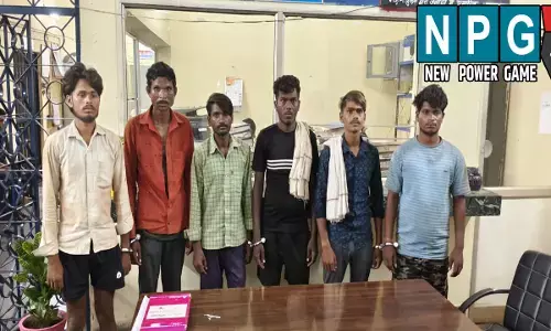 CG News: 6 मवेशी तस्कर गिरफ्तार: 80 मवेशियों को कराया गया मुक्त, लेकर जा रहे थे बूचड़खाना