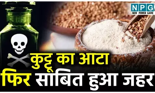 Kuttu Atta Side Effects: नवरात्रि फलाहार में कुट्टू का आटा फिर साबित हुआ जहर समान, जाने इसके सेवन में कौन सी सावधानियां हैं ज़रूरी...