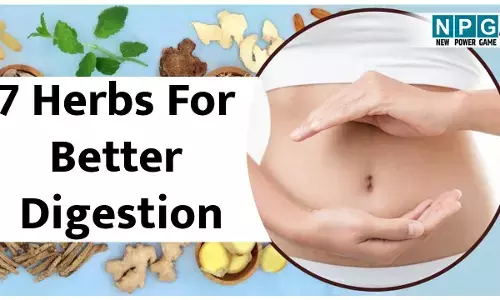 7 Herbs For Better Digestion: ये सात हर्ब्स रखेंगी आपके हाजमे का ख्याल, डाइट में कर लीजिए शामिल...