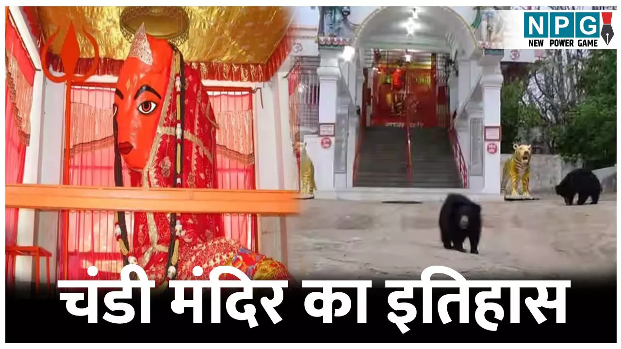 Chandi Mandir Ghunchapali: यहां माता के दर्शन करने आते हैं जंगली भालू, तंत्र-मंत्र साधना का गुप्त केंद्र, जानिए चंडी मंदिर का इतिहास