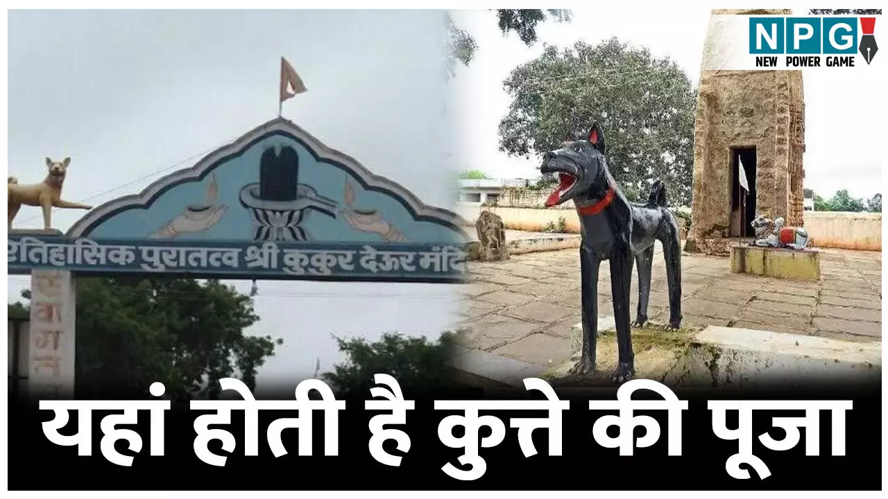 Kukurdev Mandir: ऐसा अनोखा मंदिर जहां होती है कुत्ते की पूजा, जानिए वफादारी और आस्था की अजीबोगरीब मान्यता