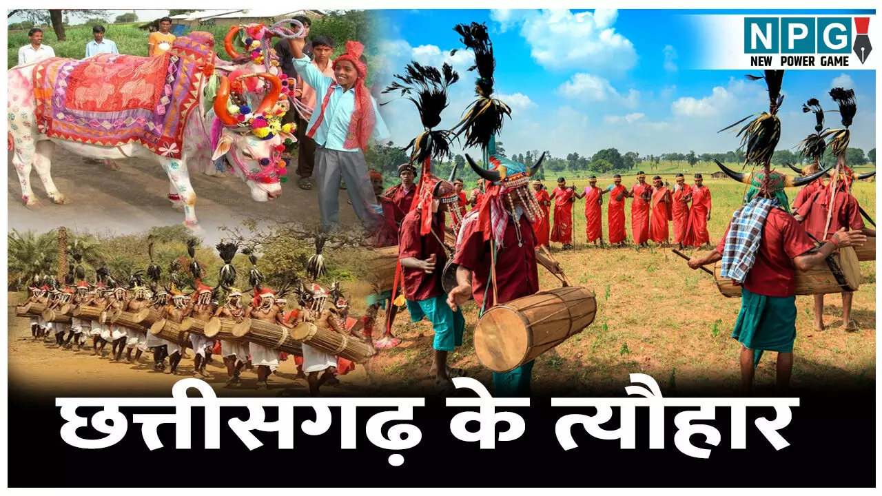 Chhattisgarh Ke tyohar:  छत्तीसगढ़ में मनाए जाते हैं ये त्यौहार, जानिए पूरी डिटेल...सिर्फ एक क्लिक में