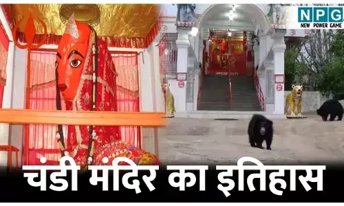 Chandi Mandir Ghunchapali: यहां माता के दर्शन करने आते हैं जंगली भालू, तंत्र-मंत्र साधना का गुप्त केंद्र, जानिए चंडी मंदिर का इतिहास
