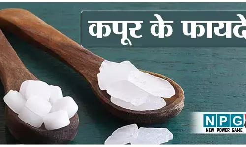 Kapur Ke Fayde: आरती के वक्त जलाते हैं कपूर! उसी कपूर के कमाल के स्वास्थ्य लाभ यहां जानिए...