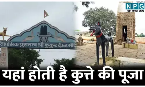 Kukurdev Mandir: ऐसा अनोखा मंदिर जहां होती है कुत्ते की पूजा, जानिए वफादारी और आस्था की अजीबोगरीब मान्यता