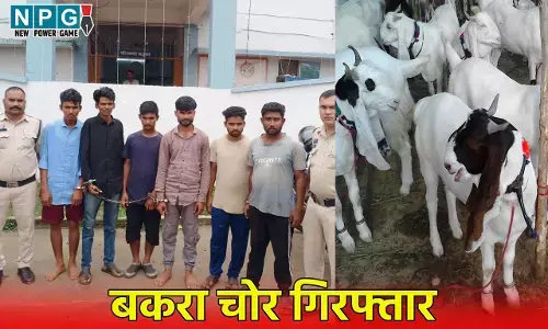 Raipur News: जायलो कार से बकरा चोरी:  गिरोह का पर्दाफाश, 1 दुकानदार समेत 6 आरोपी गिरफ्तार...