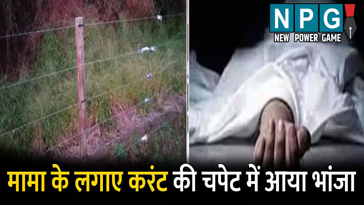 Raigarh News: मामा ने जंगली-जानवरों के लिए लगाया था करंट: चपेट में आ गया भांजा, खेत में पड़ी मिली लाश Raigarh News: मामा ने जंगली-जानवरों के लिए लगाया था करंट: चपेट में आ गया भांजा, खेत में पड़ी मिली लाश
