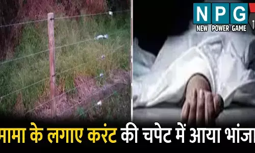 Raigarh News:  मामा ने जंगली-जानवरों के लिए लगाया था करंट: चपेट में आ गया भांजा, खेत में पड़ी मिली लाश